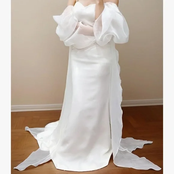 Elegant White Sheer Sleeves

Sheer Organza Bridal Sleeves - Picture 2 of 5